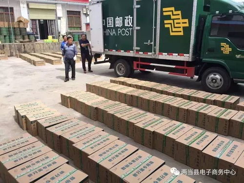 两当电子商务 仓储服务助力农特产品行稳致远