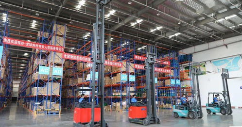 迎战双十一，浩德云仓持续发力仓储服务