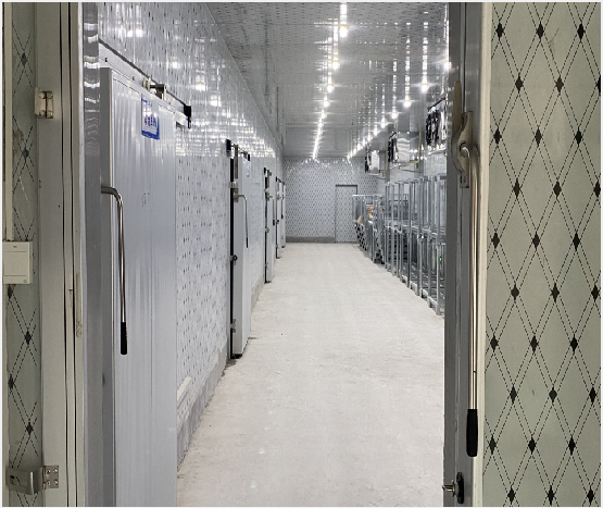 高效协同，专业守护 仓储服务在仓储与物流体系中的核心价值